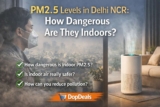 PM2.5 Levels in Delhi NCR: How Dangerous Are They Indoors?